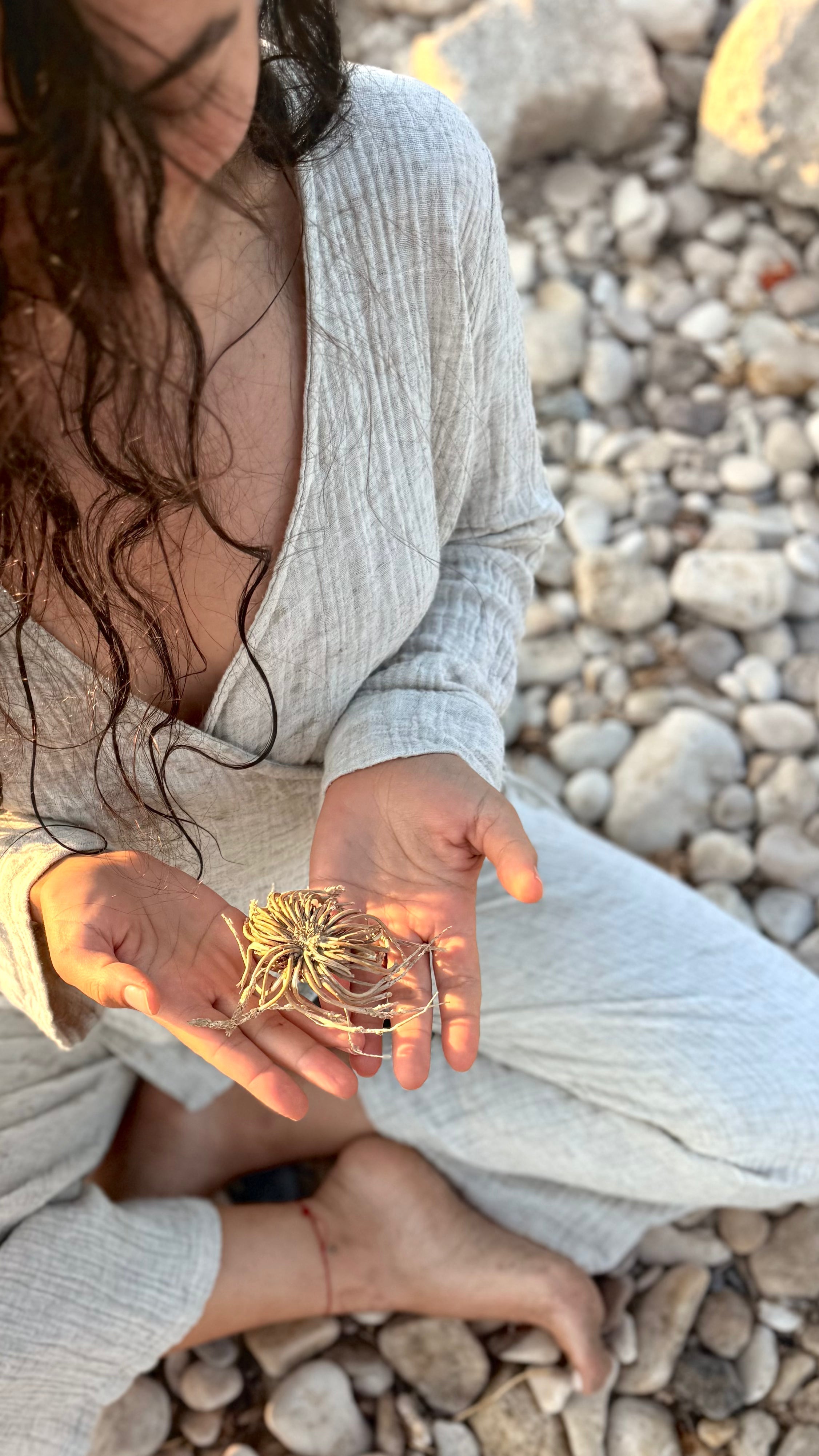 Kenevir (Hemp) Kumaş Nedir? Özellikleri ve faydaları