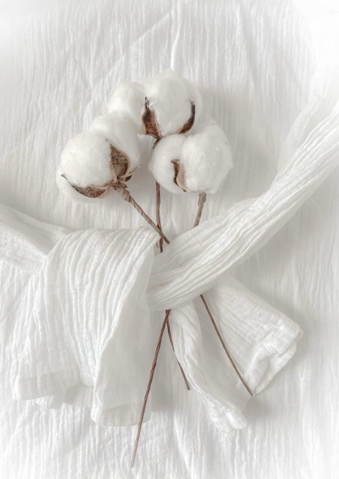 Organik kumaş nedir? Cilde ve doğaya faydaları